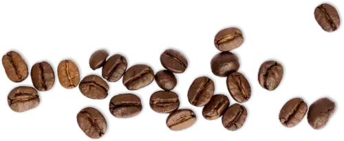 Coffee beans on white table