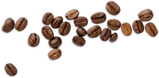 Coffee beans on white table